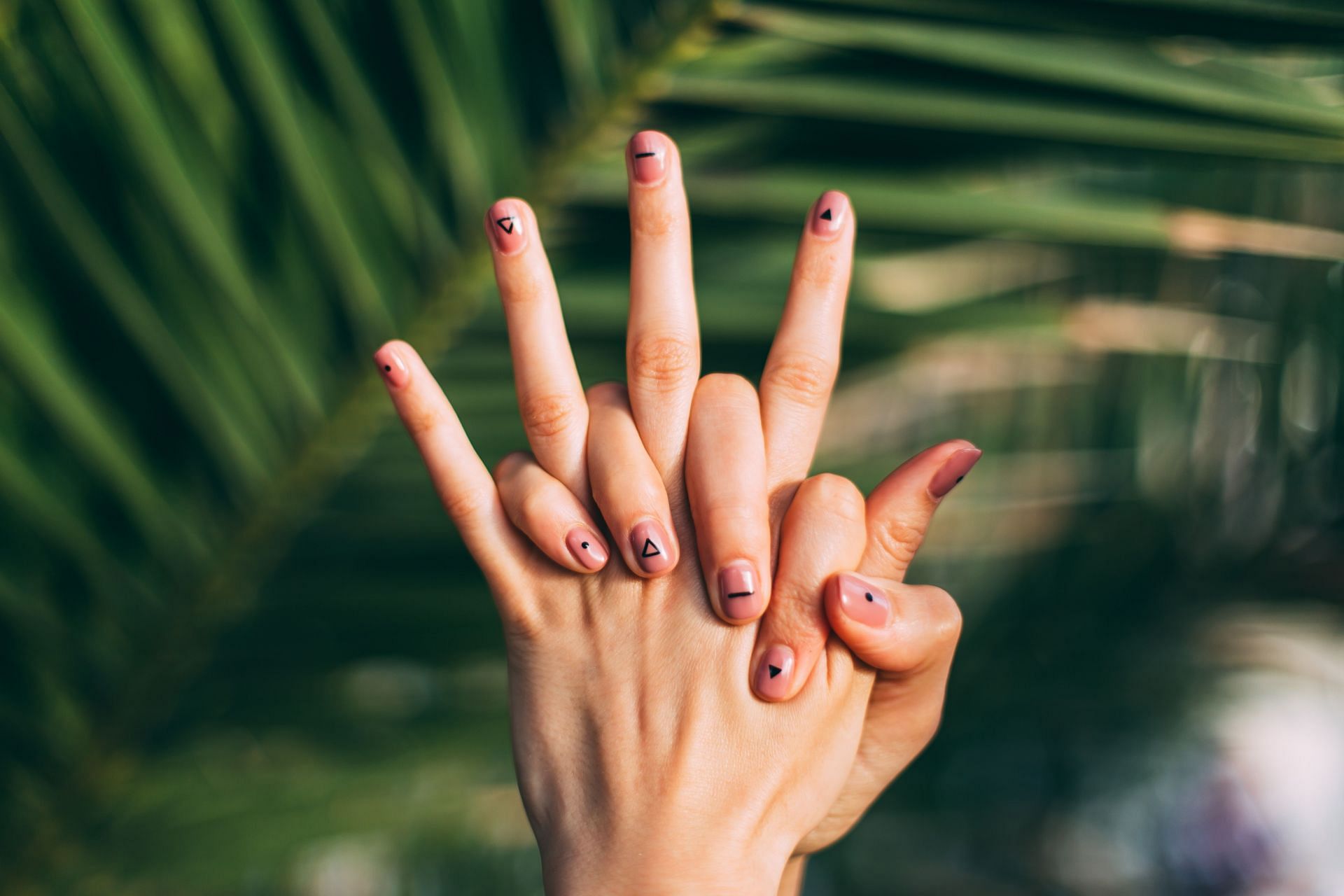 Dark triad (Image via Unsplash/Daiga Ellaby)